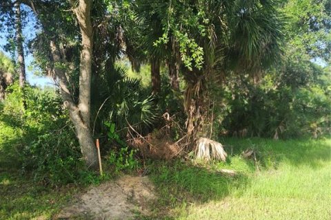 Land in Port Charlotte, Florida № 2165816 - photo 5