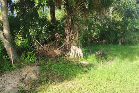 Land in Port Charlotte, Florida № 2165816 - photo 6