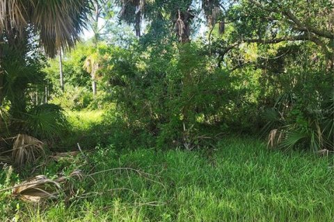 Land in Port Charlotte, Florida № 2165816
