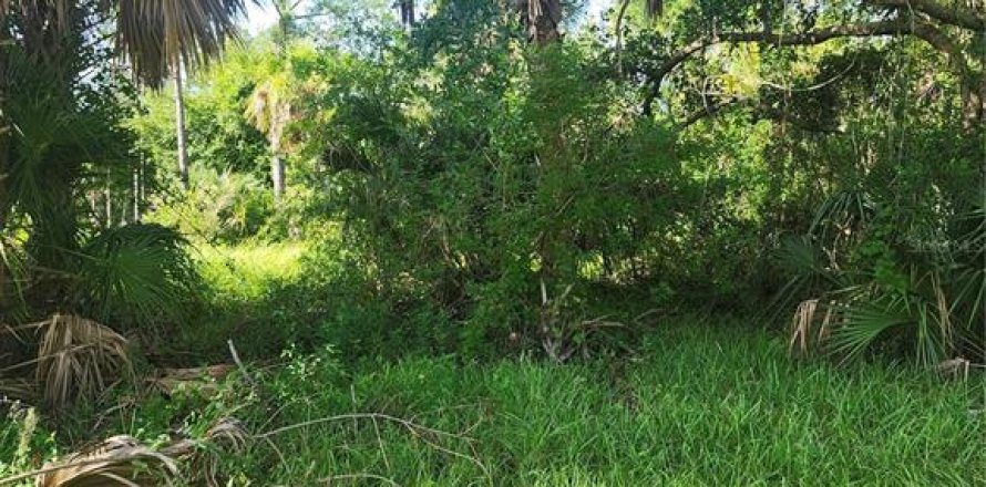 Land in Port Charlotte, Florida № 2165816