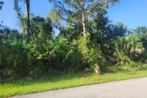 Land in Port Charlotte, Florida № 2165816 - photo 2