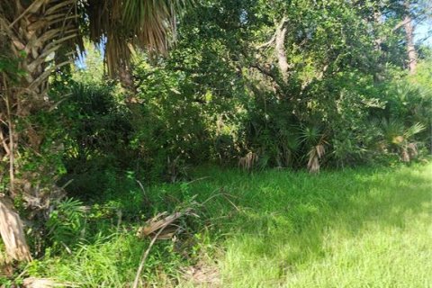 Land in Port Charlotte, Florida № 2165816 - photo 8