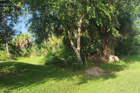 Land in Port Charlotte, Florida № 2165816 - photo 4