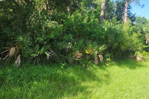 Land in Port Charlotte, Florida № 2165816 - photo 3
