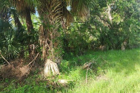 Land in Port Charlotte, Florida № 2165816 - photo 7