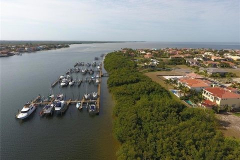 Land in Apollo Beach, Florida № 1823100 - photo 4