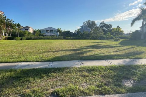 Land in Apollo Beach, Florida № 1823100 - photo 7