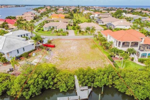 Land in Apollo Beach, Florida № 1823100 - photo 1