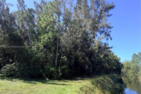 Terreno en venta en Loxahatchee Groves, Florida № 1949938 - foto 4