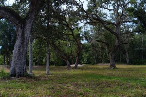 Terrain à vendre à Inverness, Floride № 1824805 - photo 5