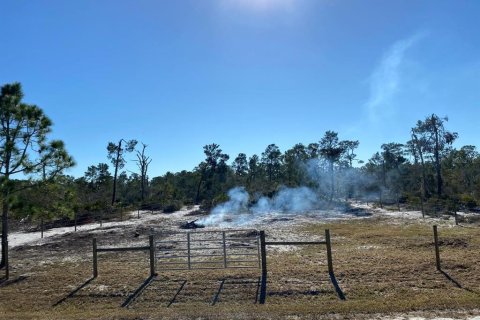 Land in Lake Placid, Florida № 2163384