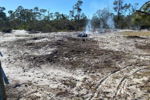 Land in Lake Placid, Florida № 2163384 - photo 2