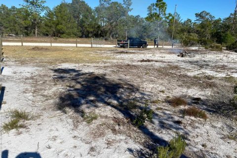 Land in Lake Placid, Florida № 2163384 - photo 6