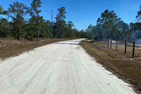 Land in Lake Placid, Florida № 2163384 - photo 4