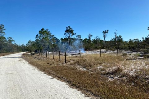 Land in Lake Placid, Florida № 2163384 - photo 5