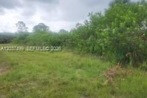 Terreno en Lehigh Acres, Florida № 2158535
