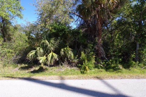 Land in Punta Gorda, Florida № 2228894 - photo 2