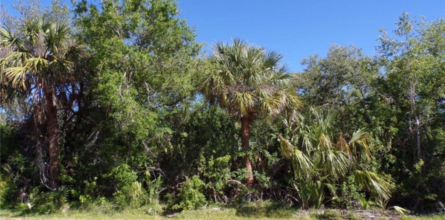 Land in Punta Gorda, Florida № 2228894