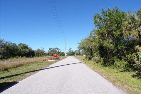 Land in Punta Gorda, Florida № 2228894 - photo 8