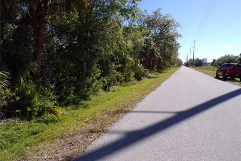 Land in Punta Gorda, Florida № 2228894 - photo 3
