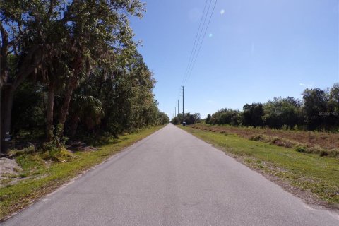 Land in Punta Gorda, Florida № 2228894 - photo 10