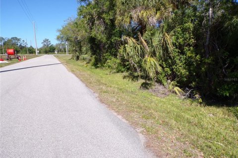 Land in Punta Gorda, Florida № 2228894 - photo 4