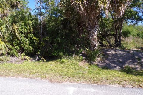 Land in Punta Gorda, Florida № 2228894 - photo 6
