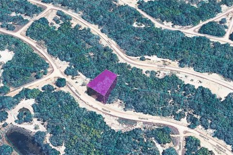 Land in Lake Placid, Florida № 2304517