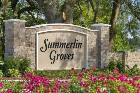 SUMMERLIN GROVES à Haines City, Floride № 56962 - photo 1