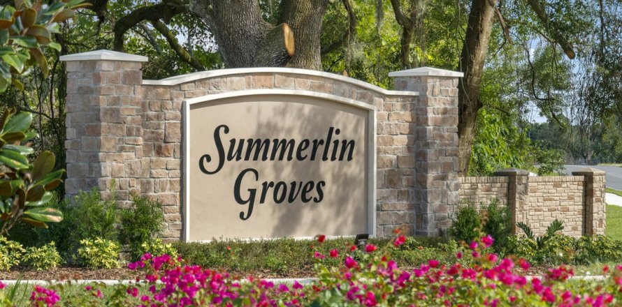 SUMMERLIN GROVES à Haines City, Floride № 56962