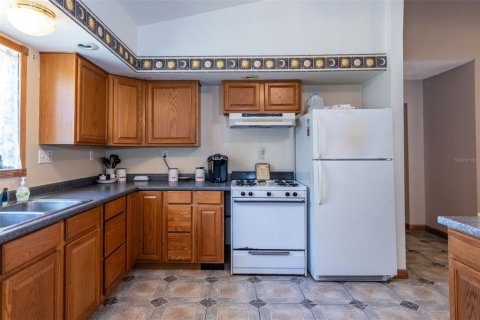 Villa ou maison à vendre à Bunnell, Floride: 3 chambres, 241.55 m2 № 1562030 - photo 3