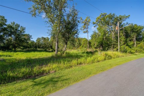 Land in Kissimmee, Florida № 1798263 - photo 9