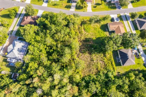 Land in Kissimmee, Florida № 1798263 - photo 5