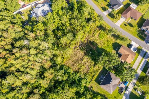 Land in Kissimmee, Florida № 1798263 - photo 6
