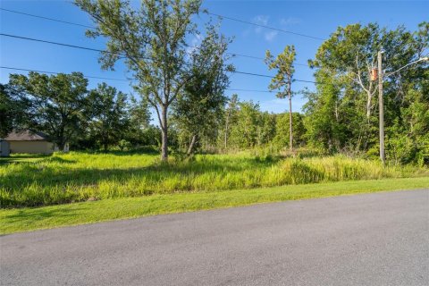 Land in Kissimmee, Florida № 1798263 - photo 11