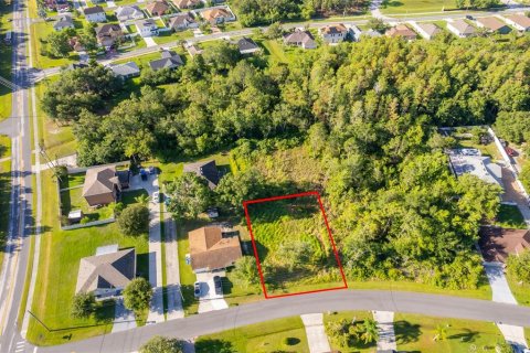 Land in Kissimmee, Florida № 1798263 - photo 2