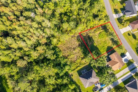 Land in Kissimmee, Florida № 1798263 - photo 7
