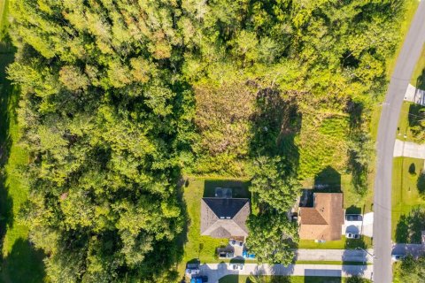 Land in Kissimmee, Florida № 1798263 - photo 8