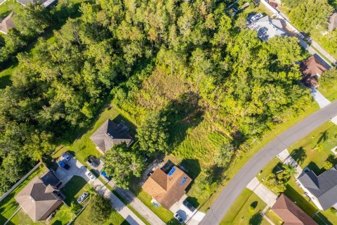 Land in Kissimmee, Florida № 1798263 - photo 10