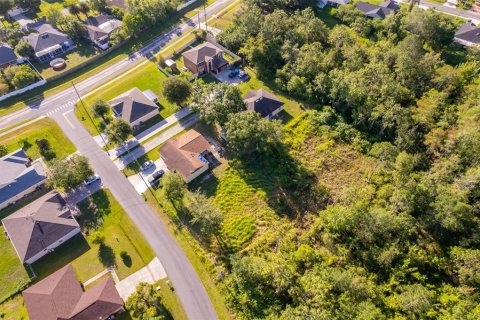 Land in Kissimmee, Florida № 1798263 - photo 4
