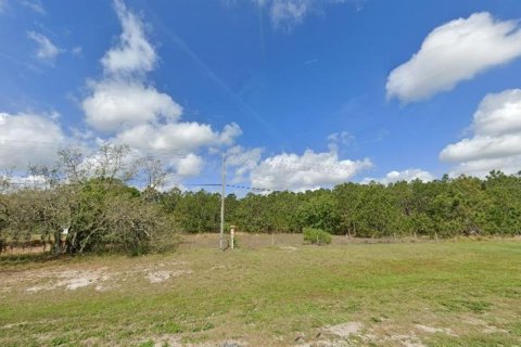 Land in Polk City, Florida № 2162233 - photo 3