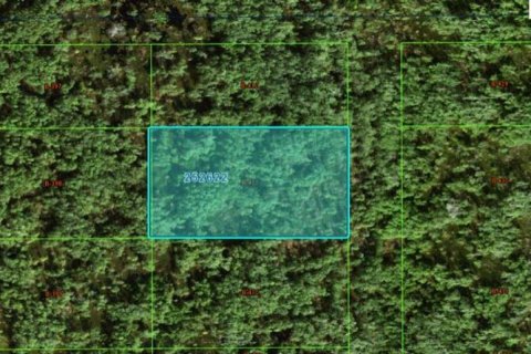 Land in Polk City, Florida № 2162233