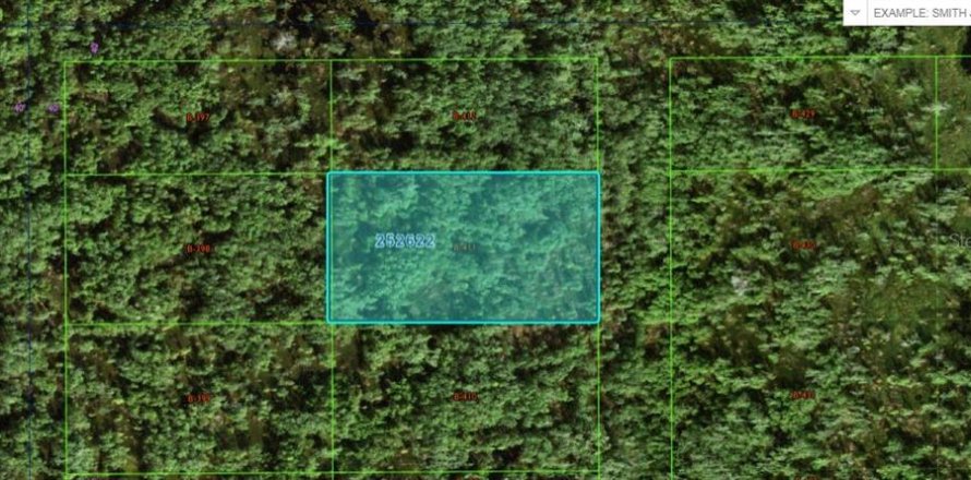 Land in Polk City, Florida № 2162233