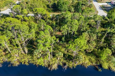 Land in Port Charlotte, Florida № 2118921 - photo 6