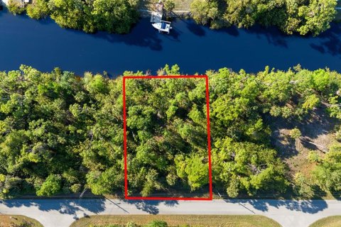 Land in Port Charlotte, Florida № 2118921 - photo 2