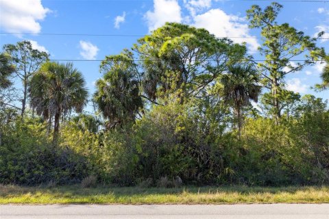 Land in Port Charlotte, Florida № 2118921