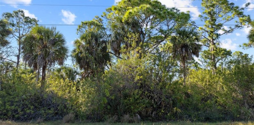 Land in Port Charlotte, Florida № 2118921