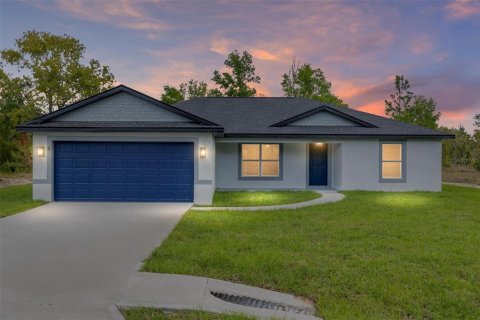 Villa ou maison à Ocklawaha, Floride 3 chambres, 140.19 m2 № 2100542