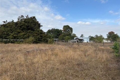 Купить земельный участок в Клуистон, Флорида № 2004552 - фото 12