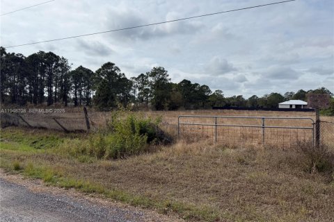 Земельный участок в Клуистон, Флорида № 2004552